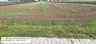 8 342 m² (0,8342 ha) gotowy teren inwestycyjny - Wieluń - 3