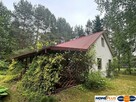 Działka z domkiem w lesie, blisko rzeki - 15