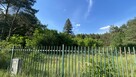 Pruszewiec, koło Tuczna - bajeczna działka w lesie - 14