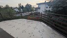 Klimatyczne 2 pokojowe z dużym tarasem - 10
