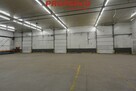 Lokal użytkowy Kielce - 2
