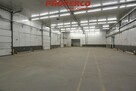 Lokal użytkowy Kielce - 3