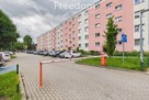 2-pokojowe mieszkanie w centrum Elbląga - 13