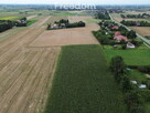 Atrakcyjne działki blisko Zamościa, Borowina - 5