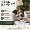 Korekty i humanizacja tekstów