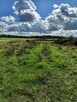 STĘSZEW - BĘDLEWO - 4