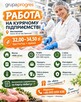 PRACA NA ZAUTOMATYZOWANEJ PRODUKCJI DROBIU - 3