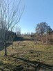 Sprzedam dom z dużą działką - 4