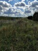 STĘSZEW - BĘDLEWO - 2