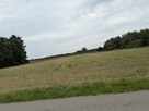 Działka z lasem blisko Grójca - 2