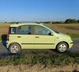 FIAT PANDA 1.2 + Felgi z zimówkami - 3