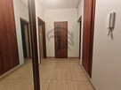 Tajna Oaza na Placu Muzealnym - 15
