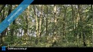 ? Unikatowy park pod Warszawą - 12