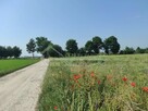 Działka budowlana Kiełczewice Górne gm. Strzyżewice, Kiełczewice - 4