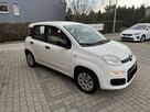 Fiat Panda !! Rezerwacja !! - 4