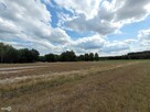 Działka rekreacyjna Kluczewsko Stanowiska - 13