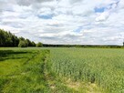 Działka budowlana Borkowice gm. Dłutów, - 3