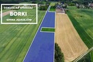 Teren inwestycyjny 9538 m2 z WZ - Borki | Jędrzejów - 1