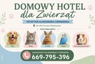Domowy Hotel dla Zwierząt Gorzów Wielkopolski - 2