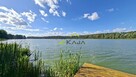 Dom z linią brzegową, przy lesie. Puszcza Notecka - 10