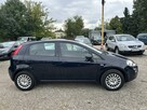 Fiat Punto Salon Polska/I WŁ/Pełna historia serwisowa/Zamiana/Kredyt - 7