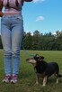Ksenia-mała nieśmiała suczka czeka na cierpliwy dom - 5