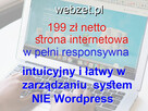 strona internetowa 199 zł