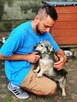 Aura ok.2/3 let i waży 6/7 kg czeka na adopcję Celestynów - 5