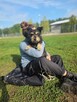 Kaktus-delikatny nieśmiały szorstki piesek do adopcji - 2