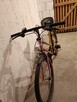 Rower Lechmann - 2
