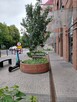 Piekne mieszk/3 pok/Szczepin/z ogrzew. miejskim/idealne dla studenta/pod inwest - 5
