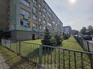 Do wynajęcia małe mieszkanie 26m2 - 14