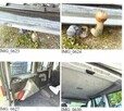 SAMOCHÓD OSOBOWY FIAT DOBLO (WOLA-KOLONIA) - 8