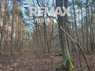MPZP - zabudowa zagrodowa - PISKÓRKA - 9