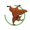 Szukamy Asystenta/ki Trenera oraz Trenera/ki Akrobatyki!