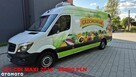 Mercedes-Benz SPRINTER - 15
