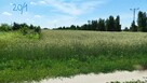 Grunty rolne ok. 5 ha - Sławacinek Stary gm. Biała Podlaska - 7