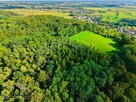 Działka leśna Bełsznica gm. Gorzyce - 1