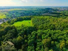 Działka leśna Bełsznica gm. Gorzyce - 4