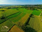 Działka leśna Bełsznica gm. Gorzyce - 10