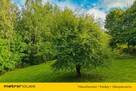 Twoja przestrzeń 3032m², 120m od plaży GęsiaZatoka - 5