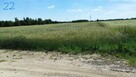 Grunty rolne ok. 5 ha - Sławacinek Stary gm. Biała Podlaska - 8