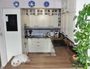 Zalew Zegrzyński | 136 m² | duży ogród | oranżeria