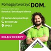 Praca / Sprzedawca - Doradca / Doradczyni klienta - Opole