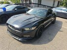 Ford Mustang GT Premium / Manual / 5.0 V8