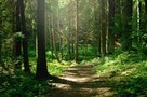 Spokojny i kulturalny szuka pewnej siebie kobiety