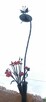 lampa kuta pałacowa - 7