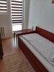 mieszkanie 45m2 do wynajęcia