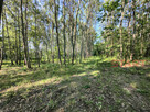 Działka budowlana Budy Mszczonowskie gm. Radziejowice, - 3