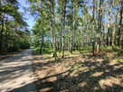 Działka budowlana Budy Mszczonowskie gm. Radziejowice, - 5
